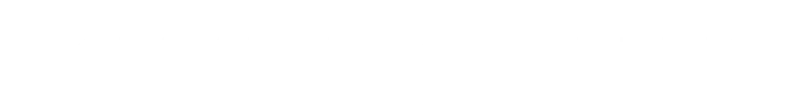 Shop Website Schnabel Consulting